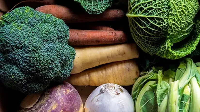 Vegetables Part One